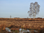 Engbertsdijksvenen